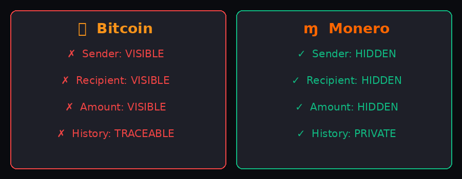 Bitcoin vs Monero privacy comparison - Bitcoin transactions are fully visible, Monero hides sender, recipient and amount